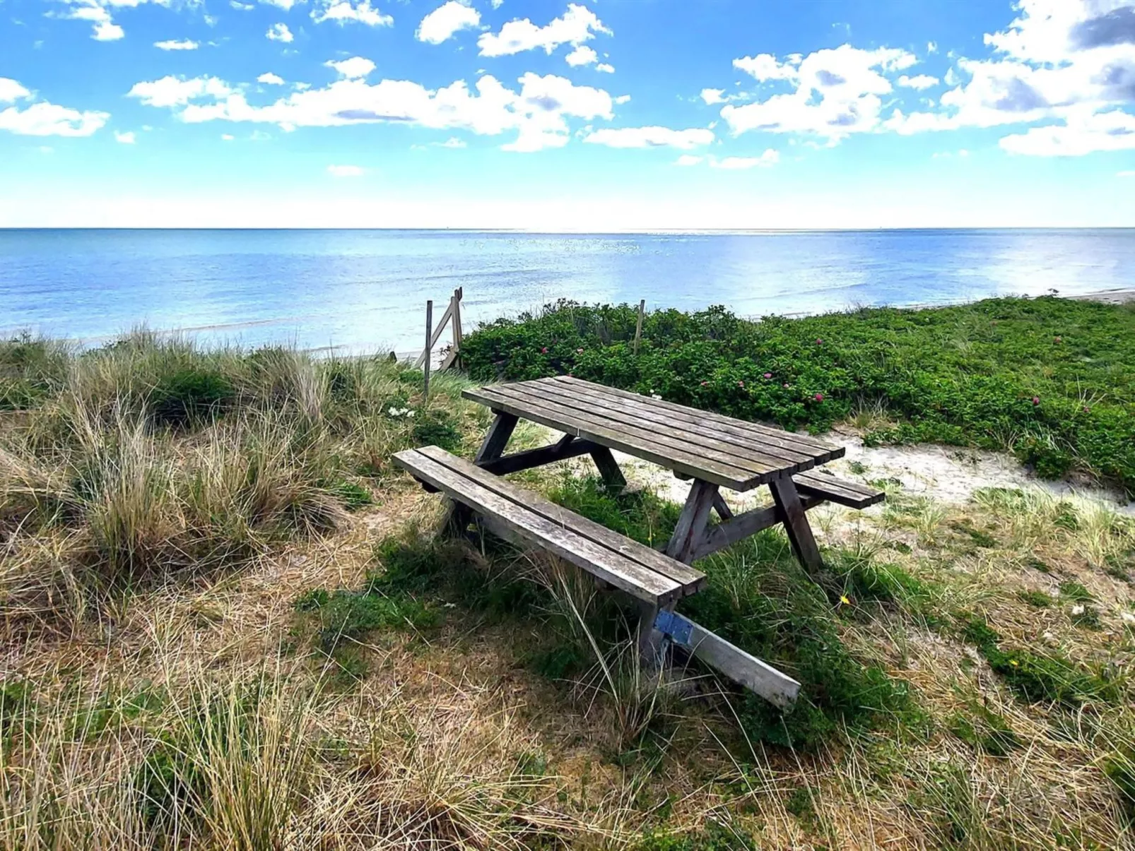 "Thorin" - 100m from the sea-Draußen