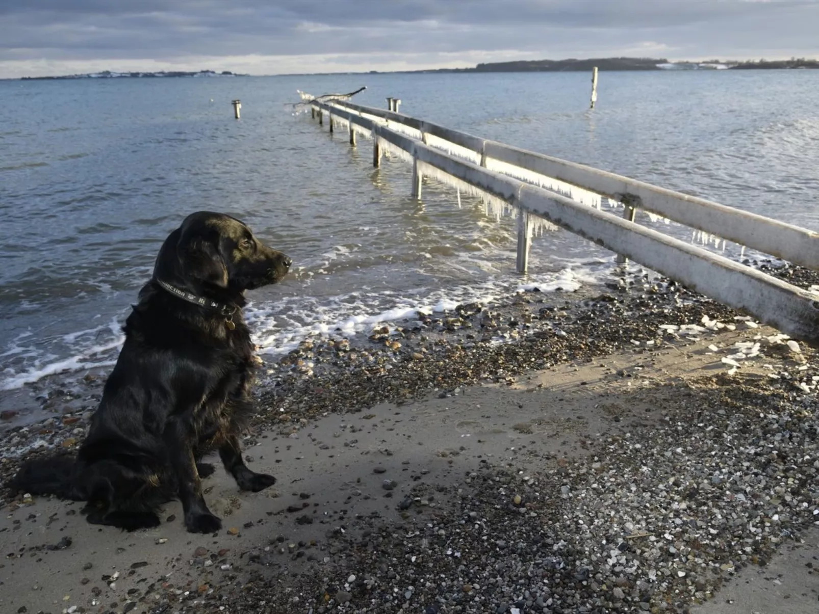 "Lander" - 20m from the sea-Outside