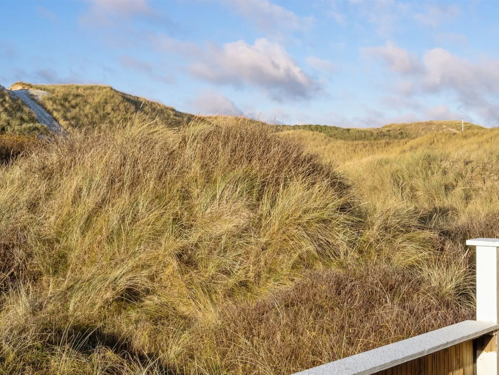 "Assa" -  from the sea-Outside