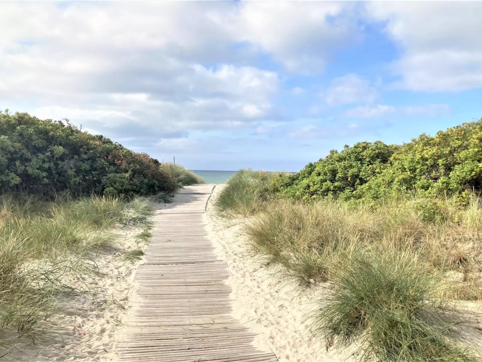 "Ønevus" - 550m from the sea-Draußen