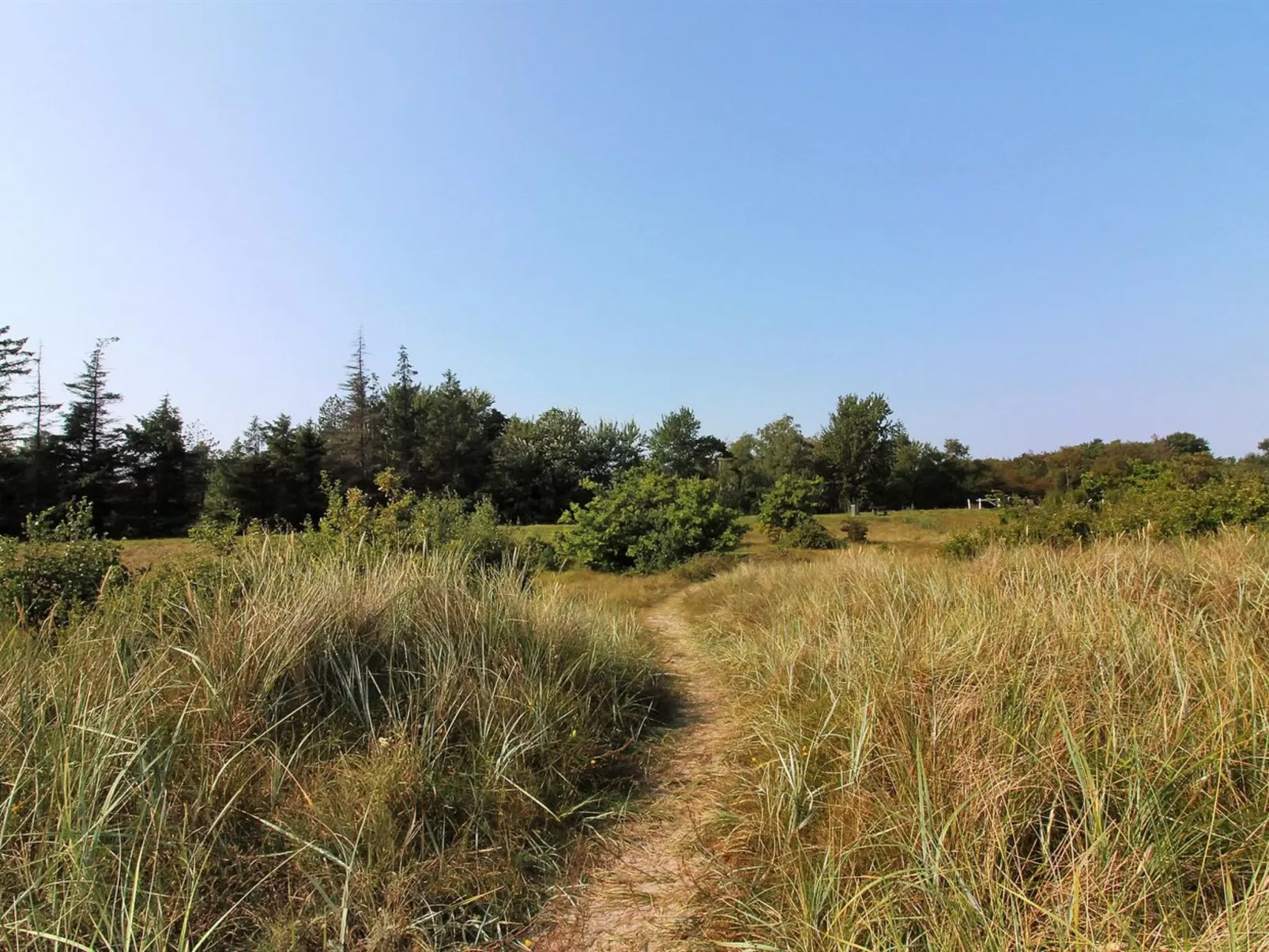 "Myrra" - 10m from the sea-Outside