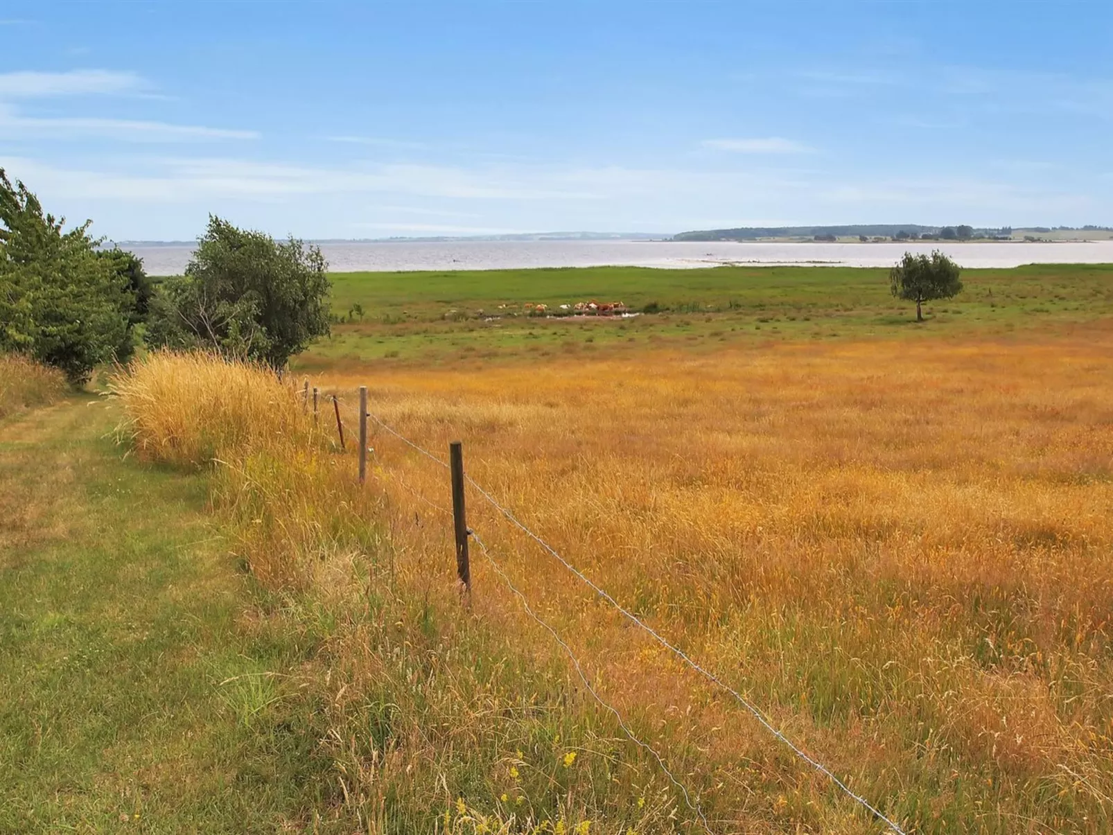 "Jeip" - 400m to the fjord-Dehors