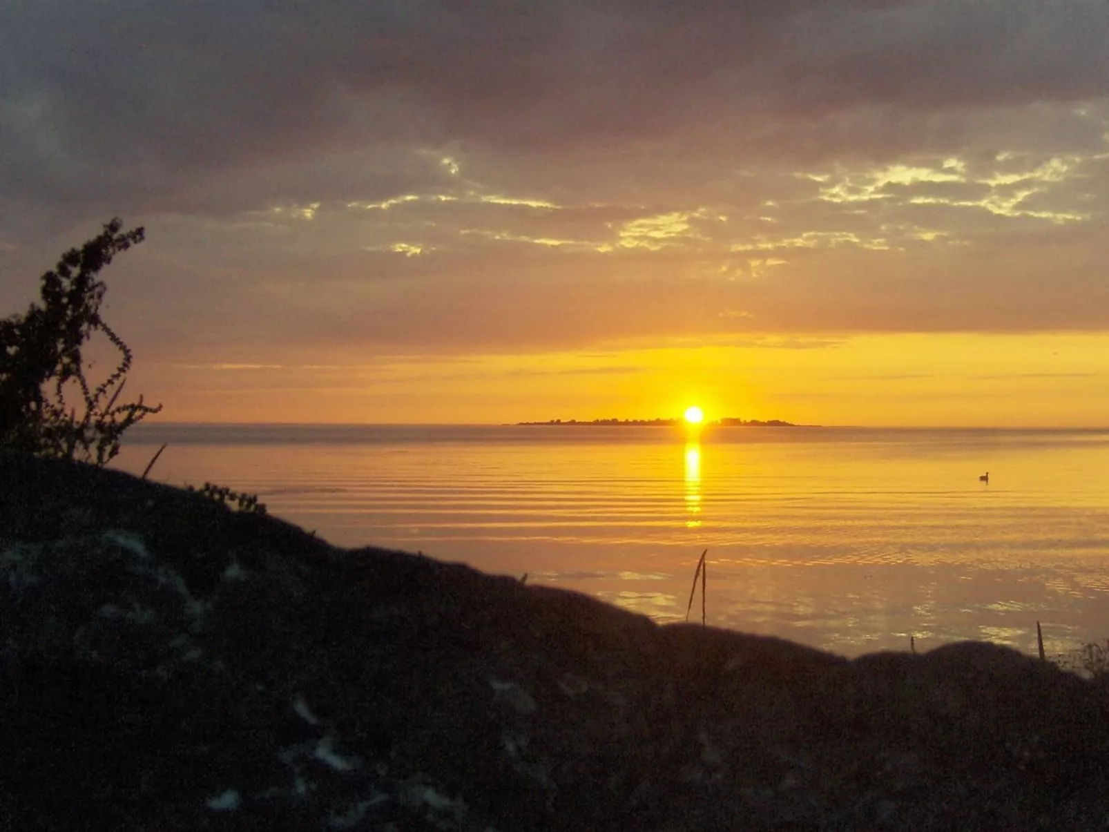 "Eddy" - 50m from the sea-Outside