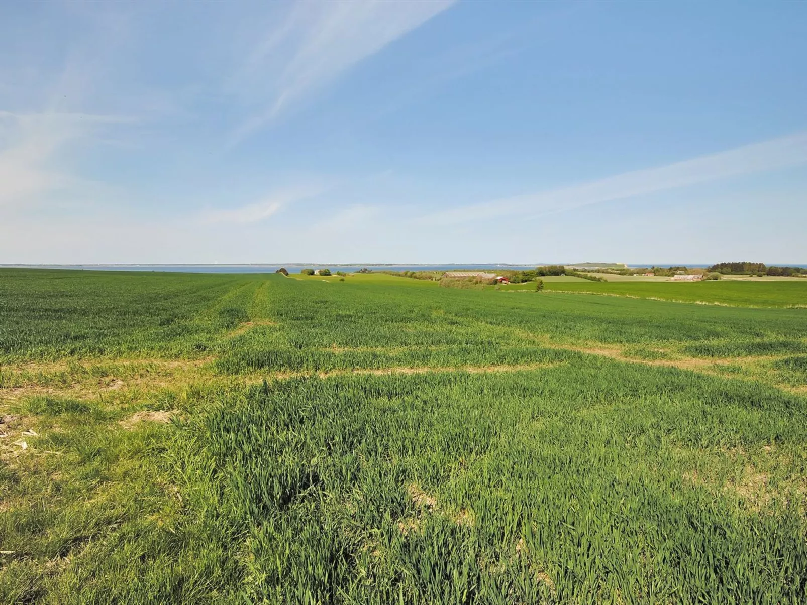 "Alois" - 1km to the fjord-Outside