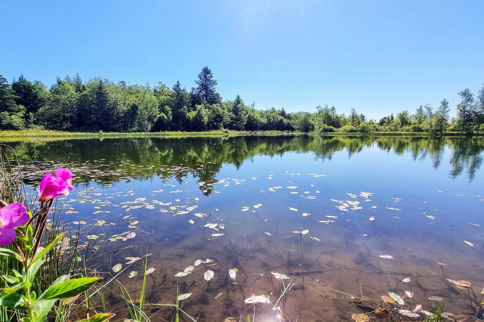 6 person holiday home in Vemb-By Traum