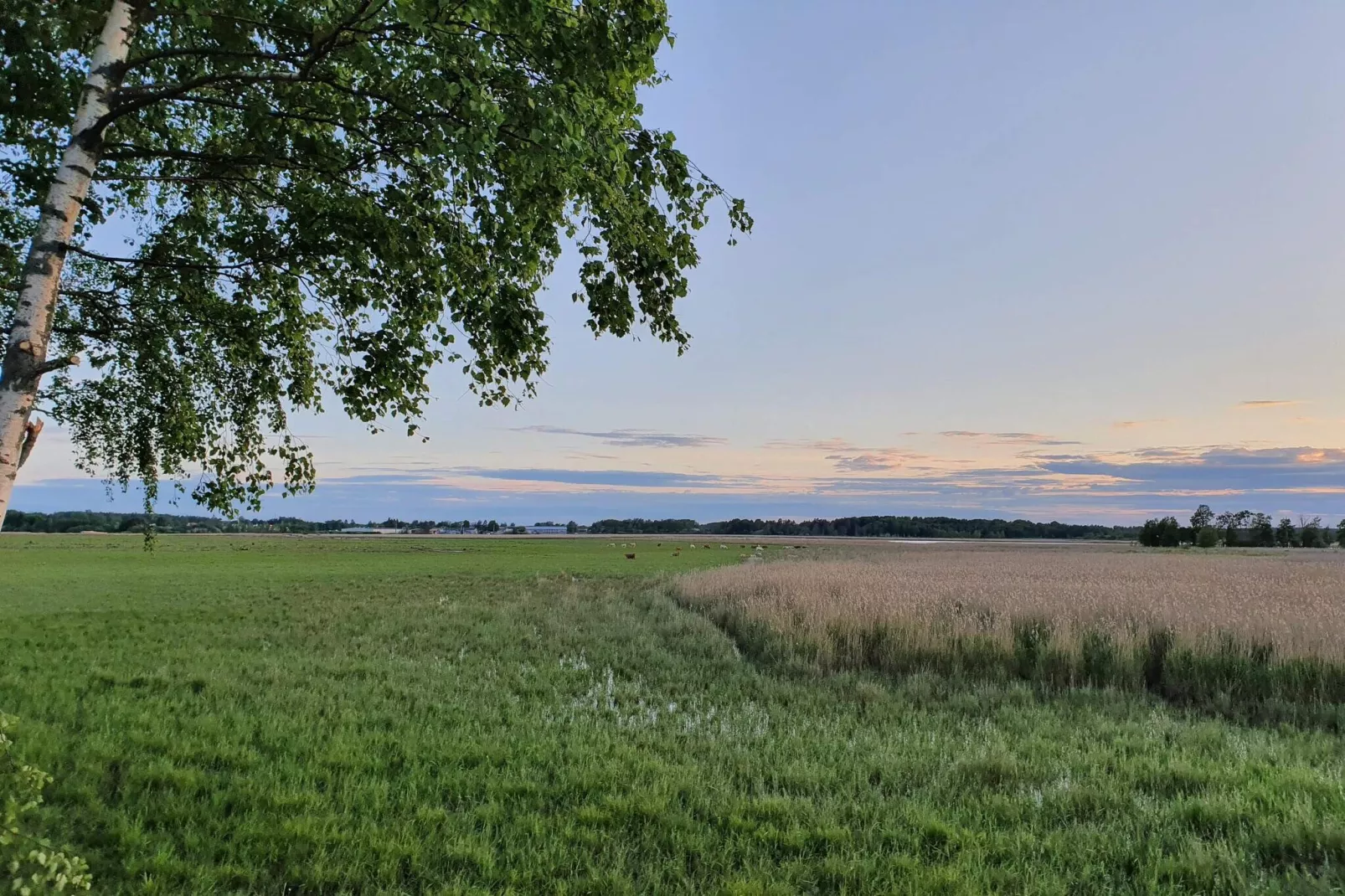 Maison de vacances pour 6 a HAMMARÖ-By Traum-Non tagué