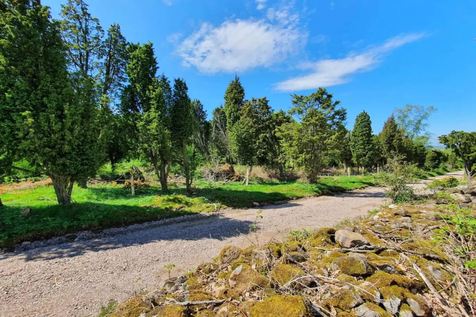 9 person holiday home in Ljungbyhed-By Traum-Untagged