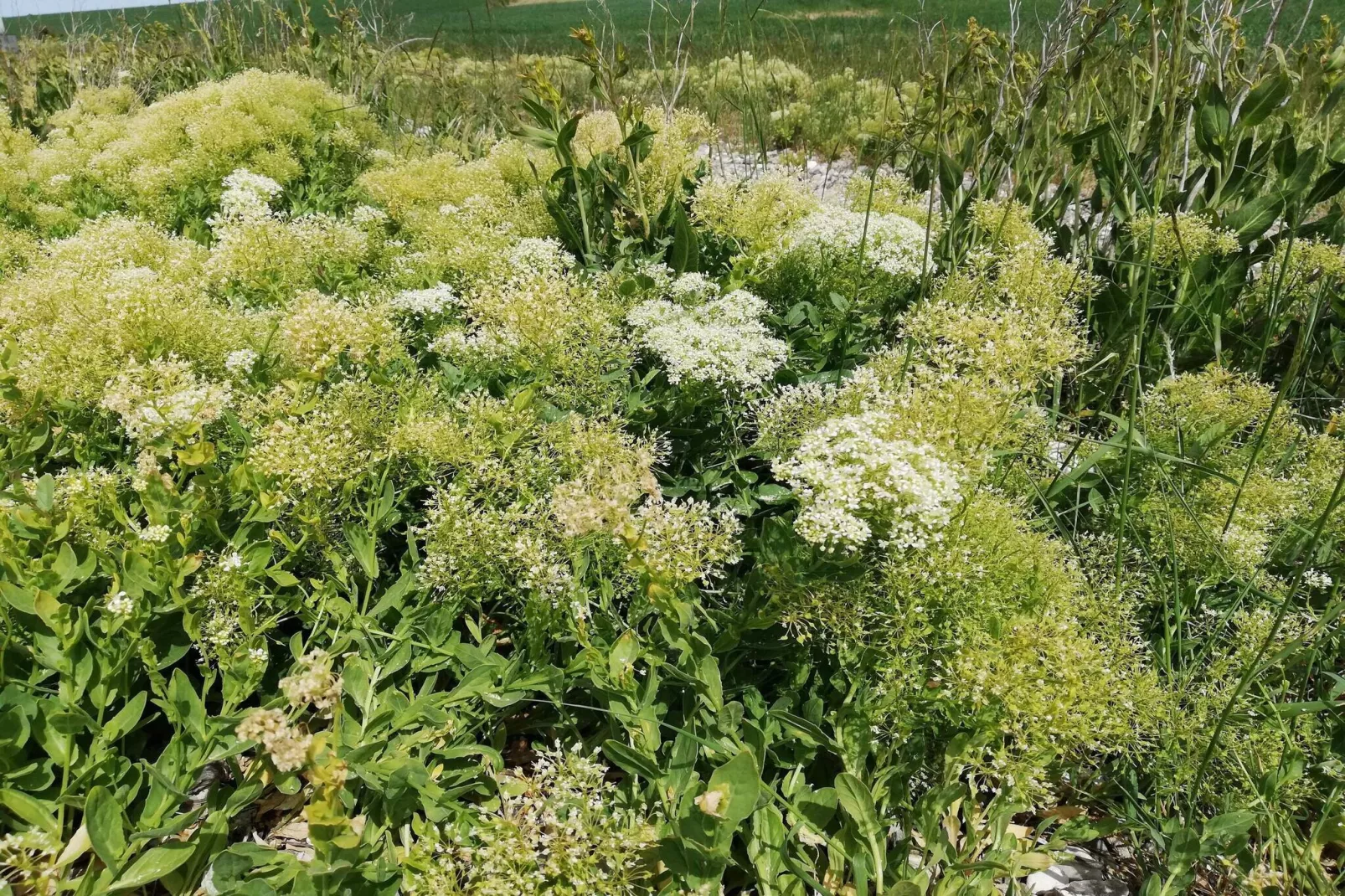 4 person holiday home in Ærøskøbing-By Traum-Untagged