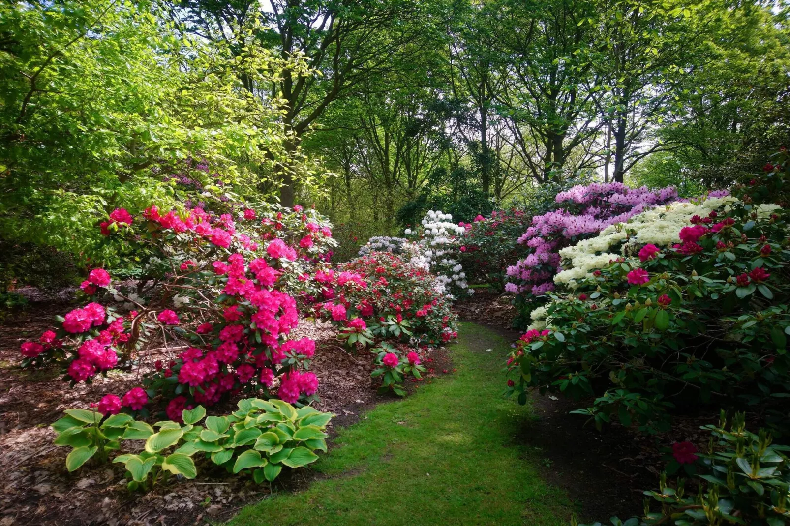 Luxurioses Spa-Retreat in Lolland -- By Traum Ferienwohnungen-Nicht zugeordnet