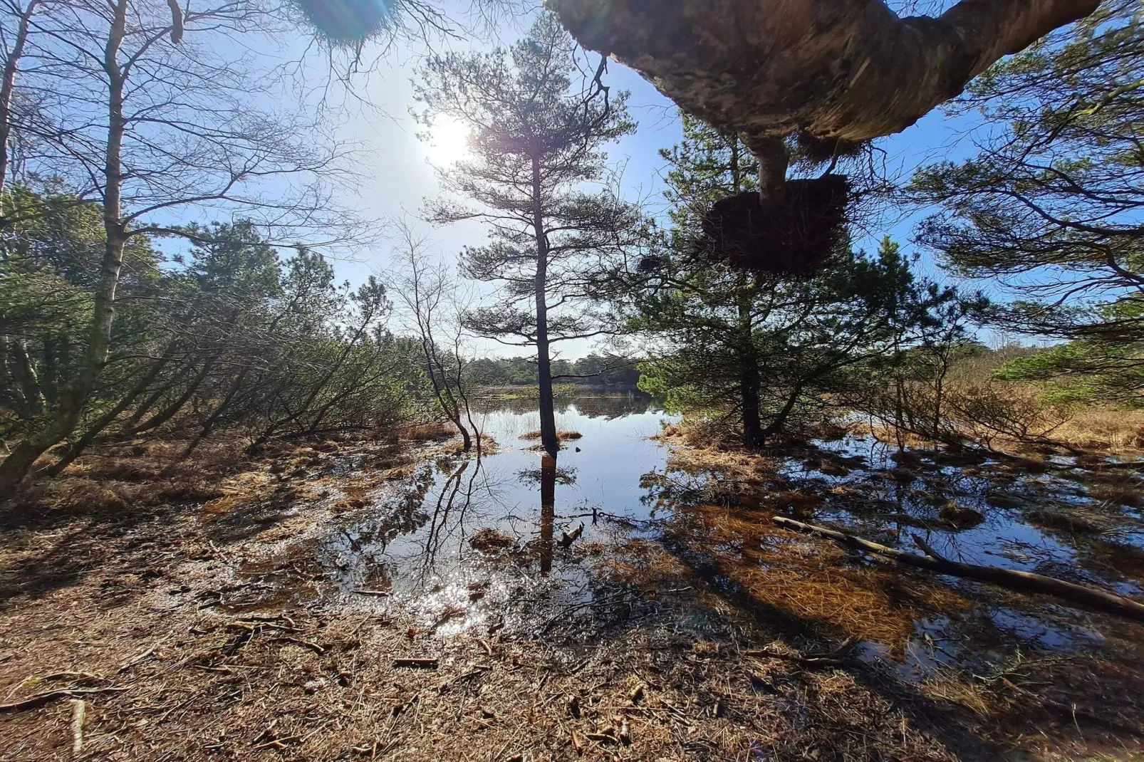 Villa de luxe avec piscine -- By Traum Ferienwohnungen-Vue sur l'eau