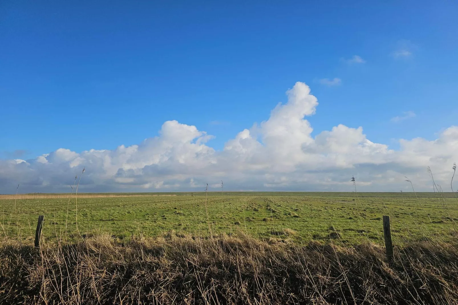 Ferienhaus für 6 Personen in Højer-Nicht zugeordnet