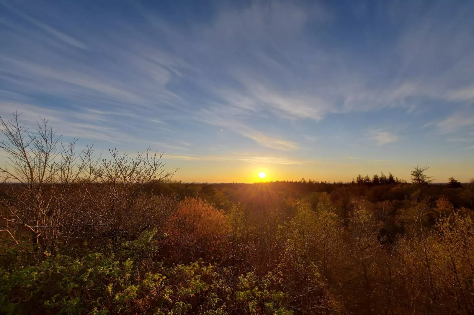 6 person holiday home in Henne-Untagged