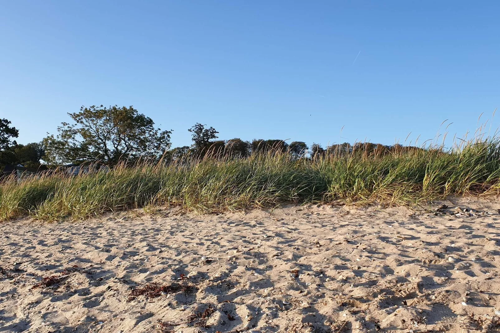 Maison de vacances pour 8 a Aabenraa-By Traum