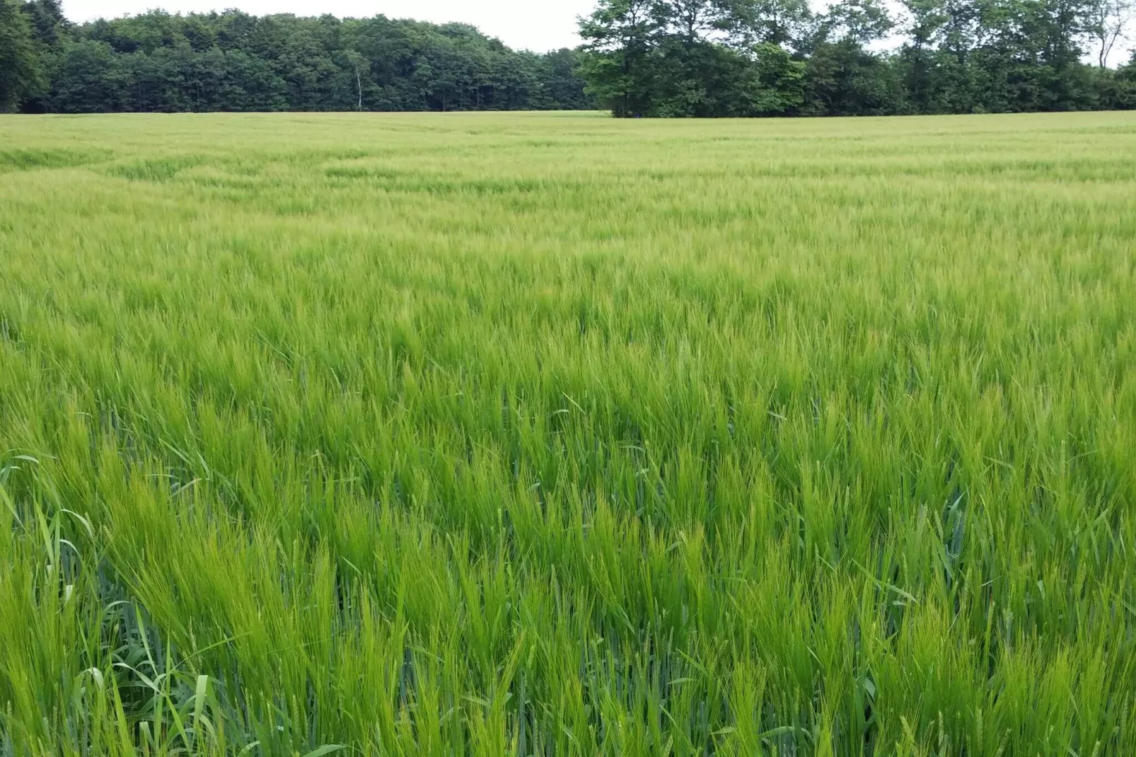 Lakefront Gem in Skarrild - By Traum Ferienwohnungen-Untagged