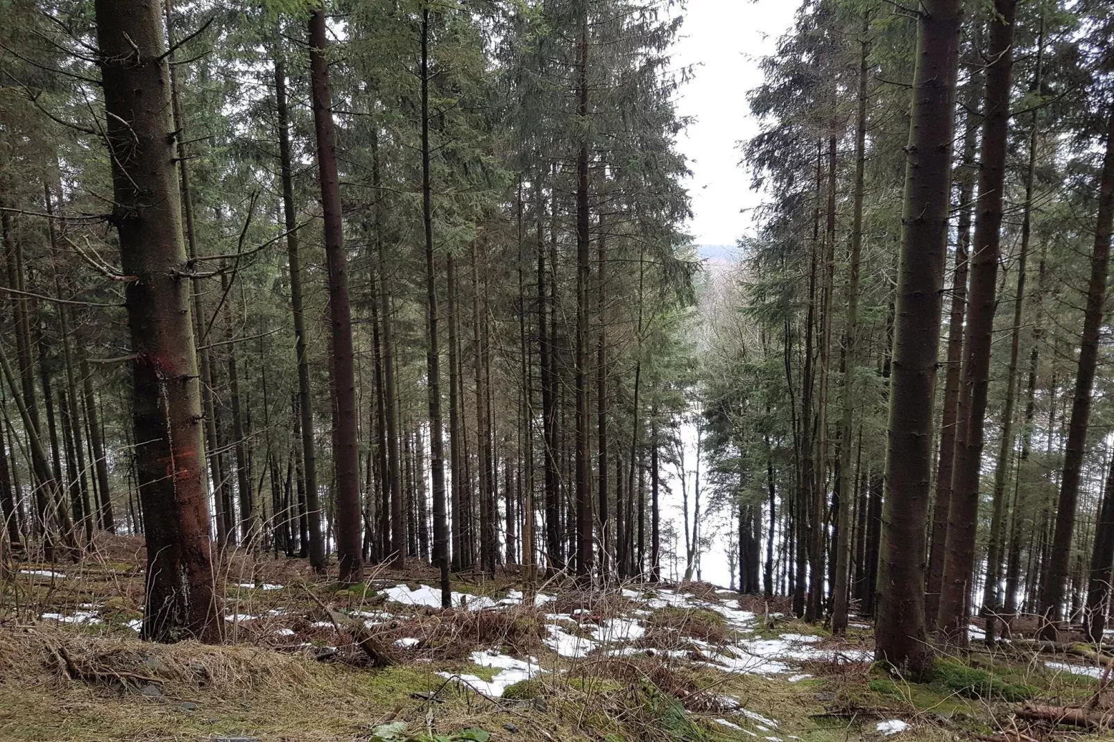 Studio Am Waltenberg 57-S-Zones hiver à 5 km