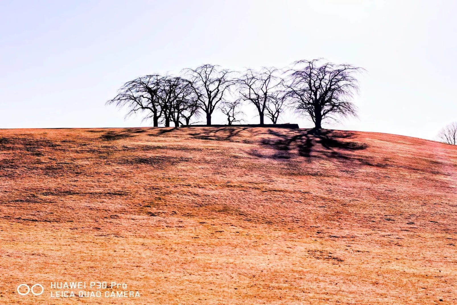 4 etoiles maison de vacances a ENSKEDE-By Traum-Non tagué