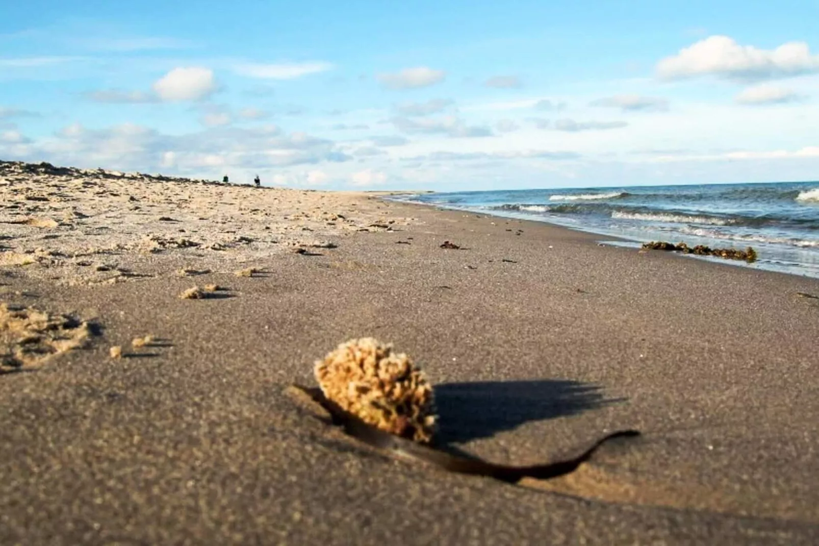 5 star holiday home in Skagen-By Traum-Untagged