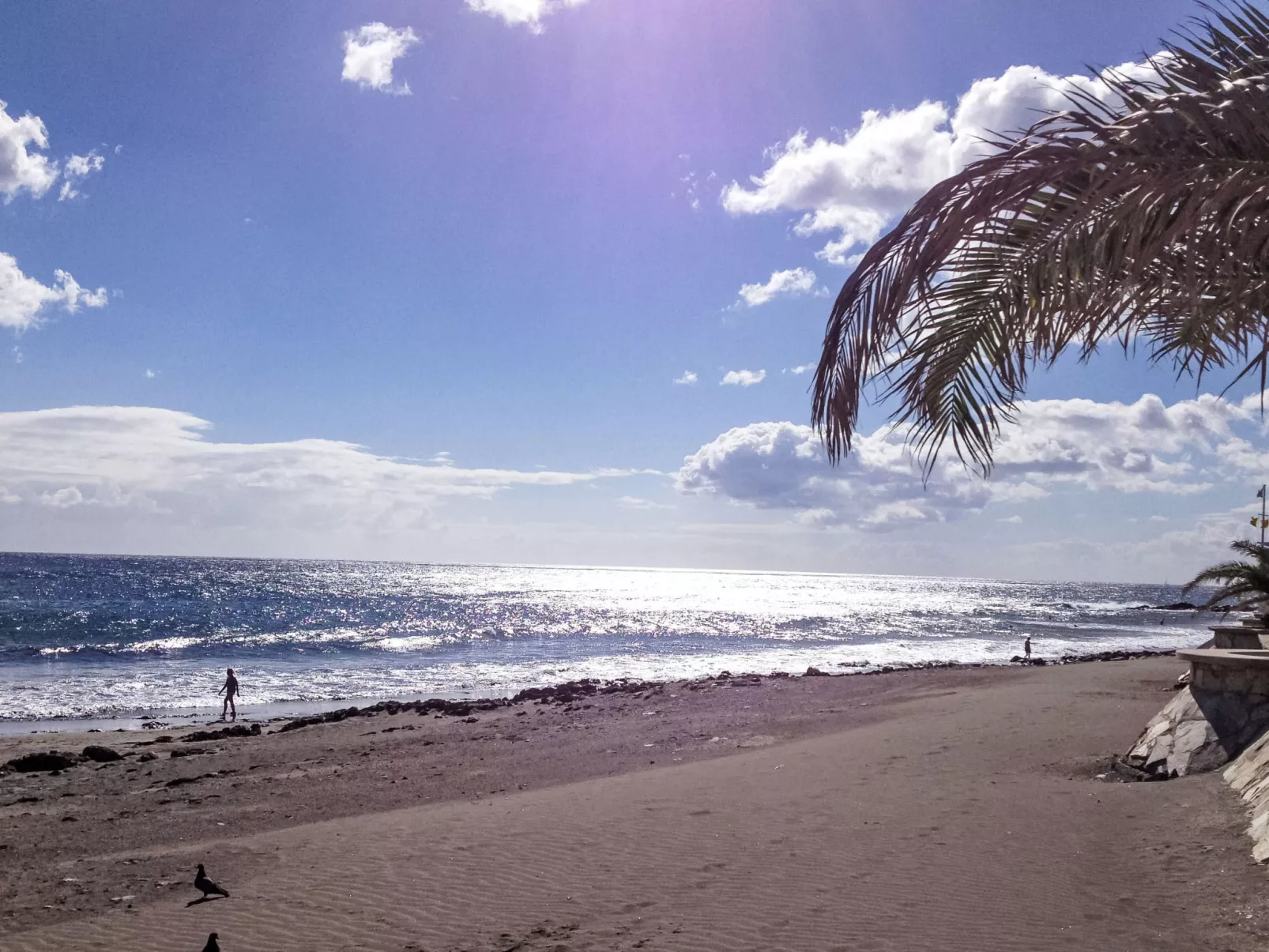 Papagayo San Agustin-Outside