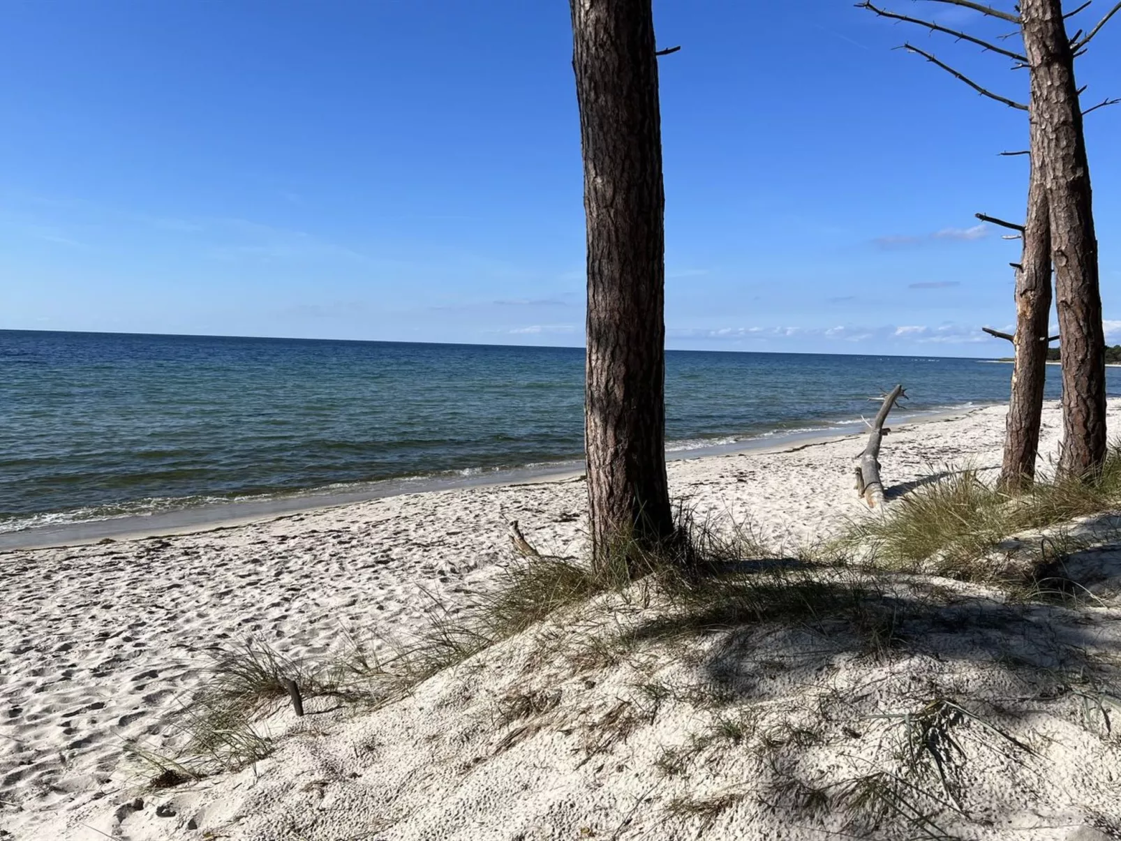 "Micaela" - 450m from the sea-Outside