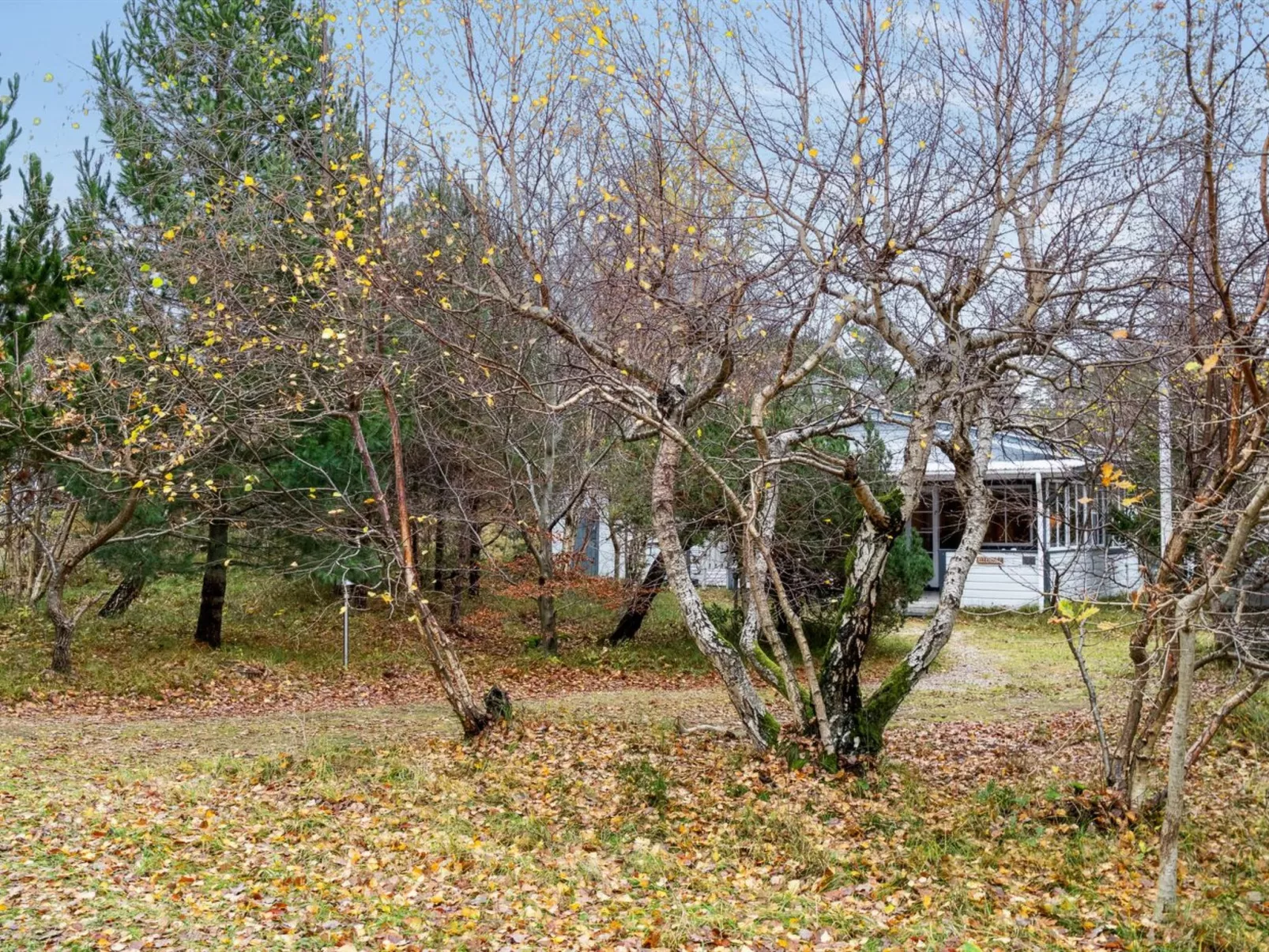 "Alessandra" - 175m from the sea-Outside