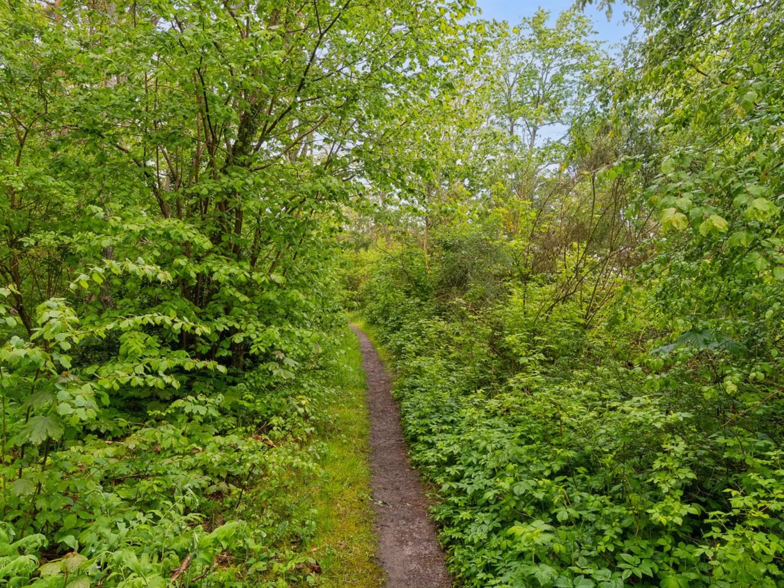 "Arkil" - 150m from the sea-Draußen