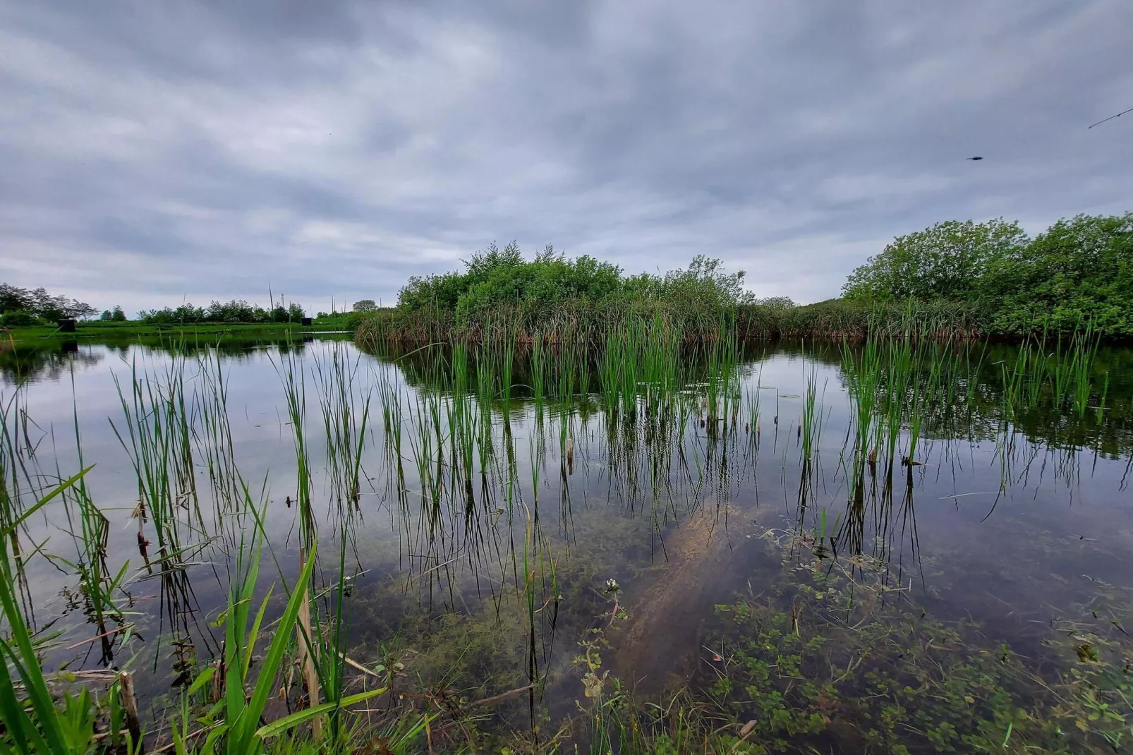5 etoiles maison de vacances a Humble-By Traum-Vue sur l'eau