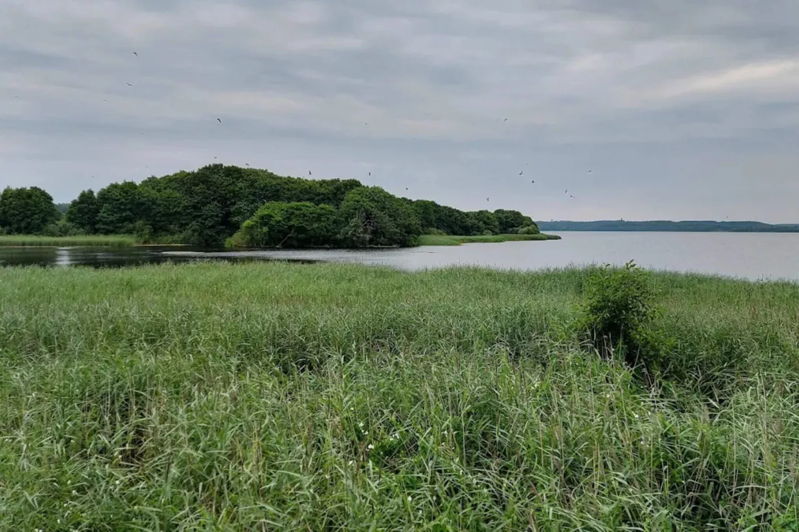 4 star holiday home in Ebeltoft-By Traum-Water view