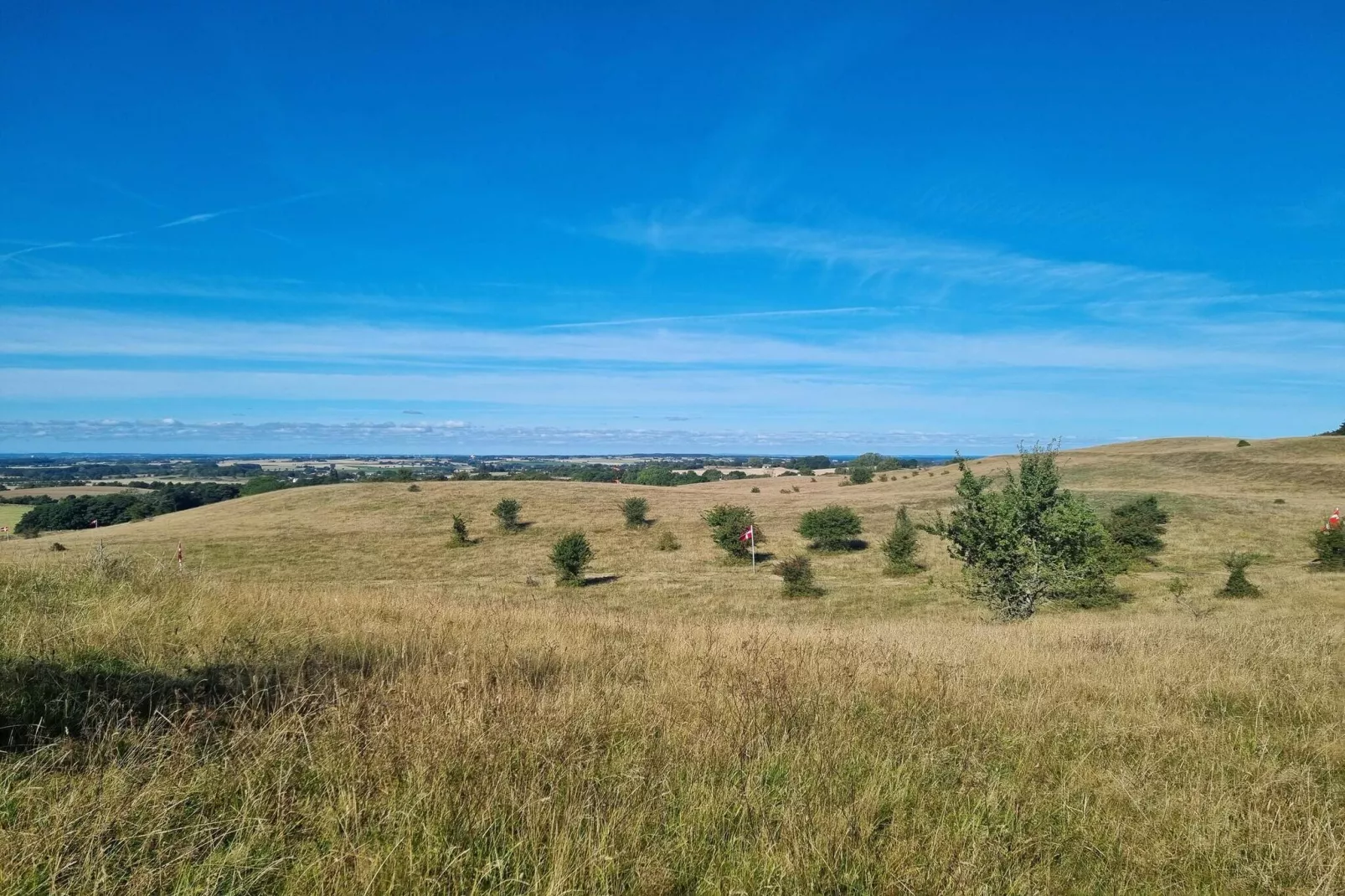 4 Personen Ferienhaus in Borre-By Traum-Nicht zugeordnet