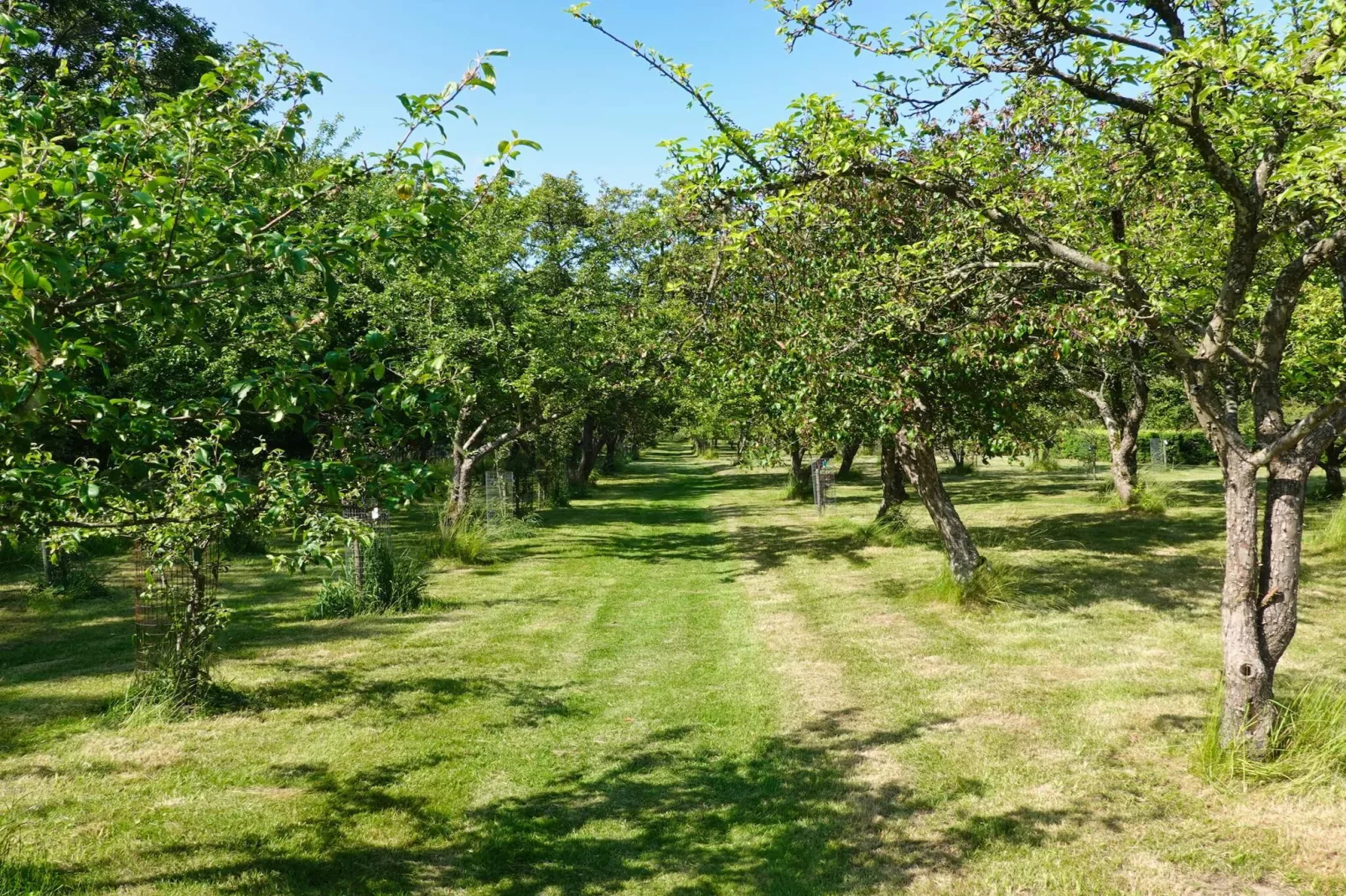 5 star holiday home in Frederikshavn-By Traum-Untagged