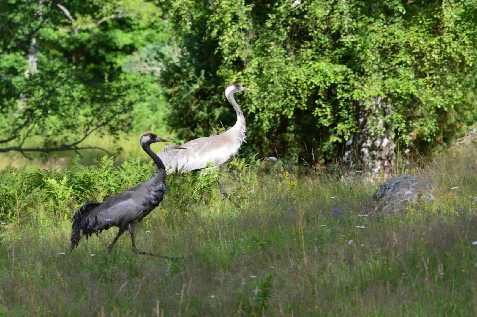 4 Sterne Ferienhaus in MALMKÖPING-By Traum-Nicht zugeordnet