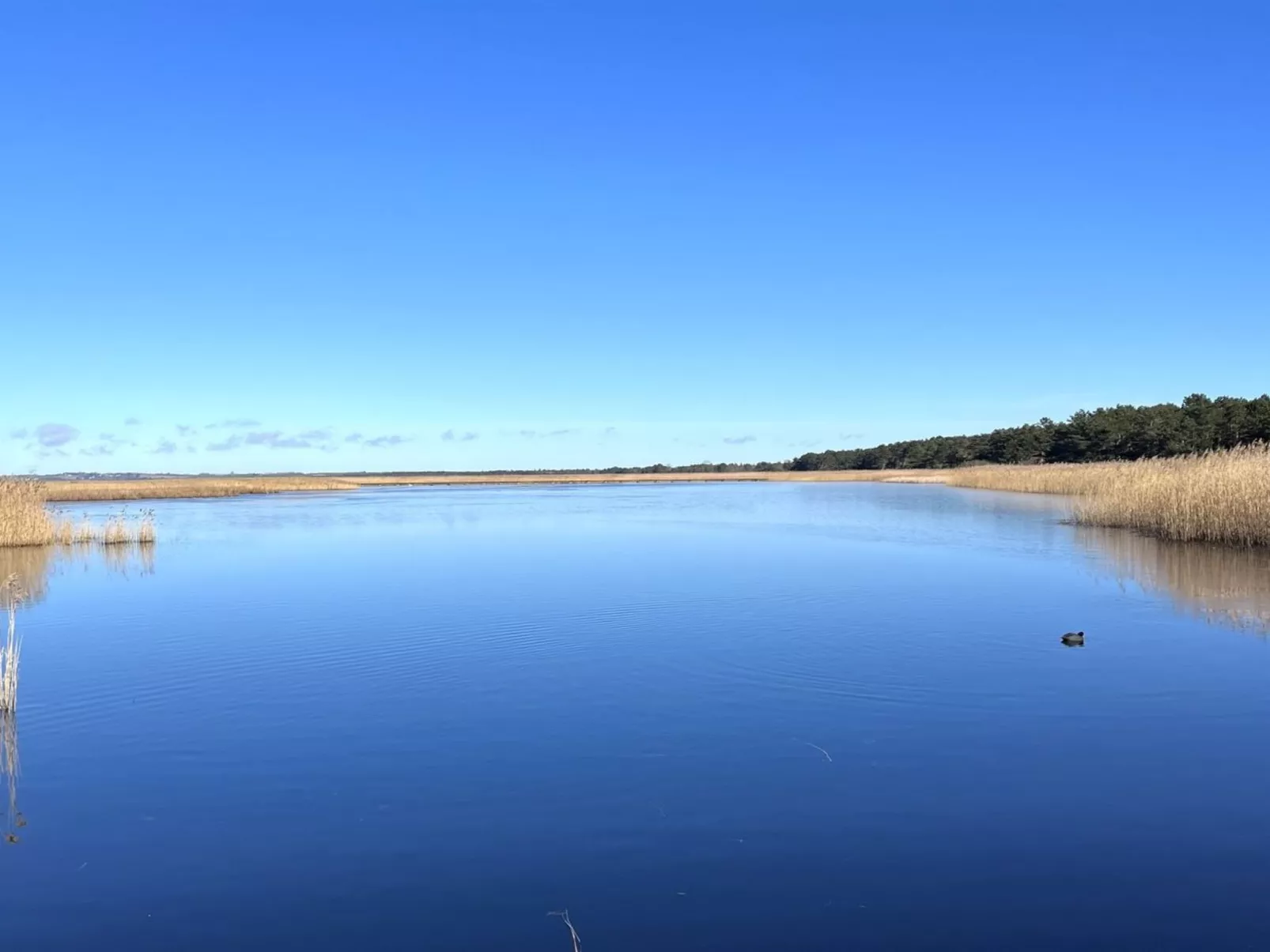 "Ela" - 800m from the sea-Outside