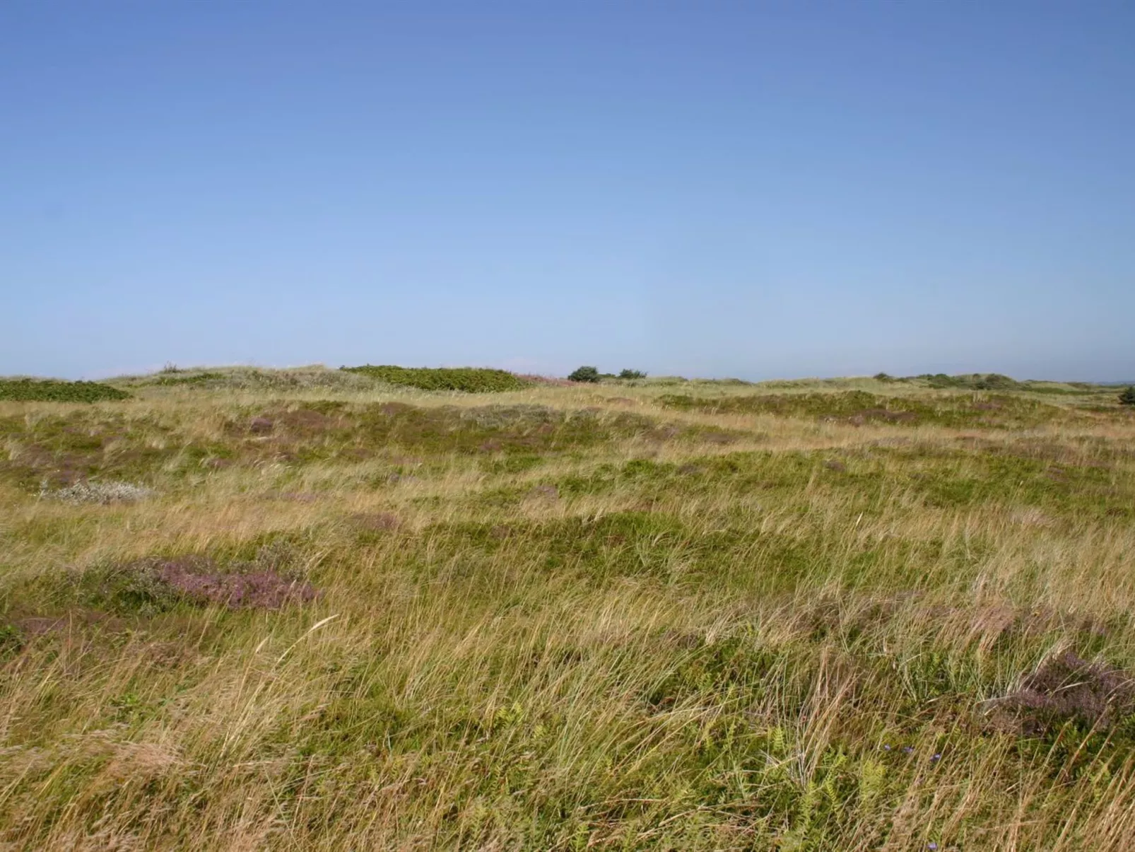 "Gisa" - 400m from the sea-Outside