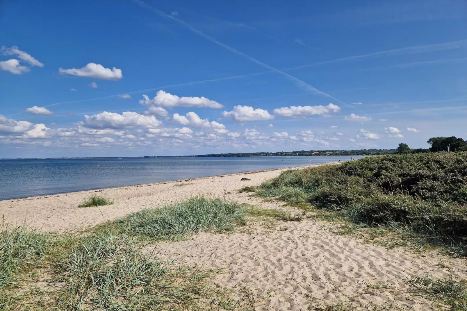 5 person holiday home in Middelfart-By Traum-Water view