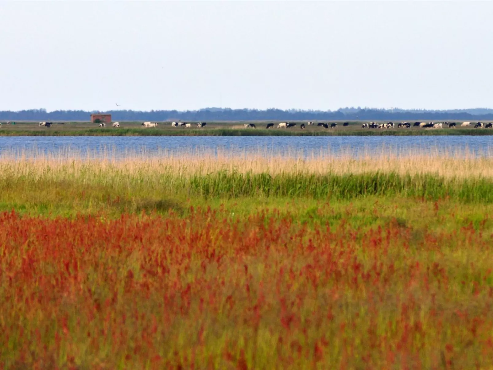 "Werna" - 800m from the sea-Outside