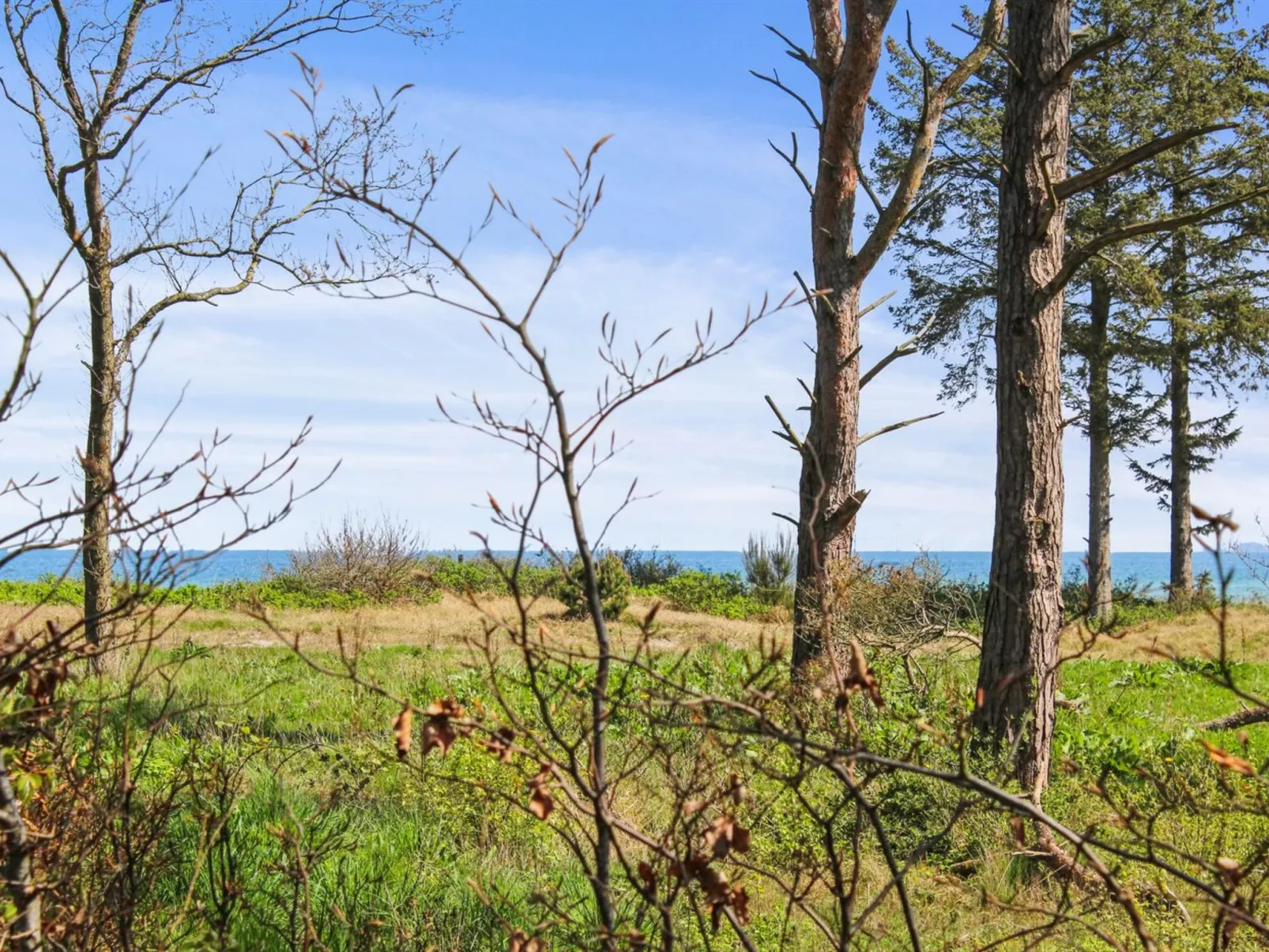 "Carit" - 80m from the sea-Outside