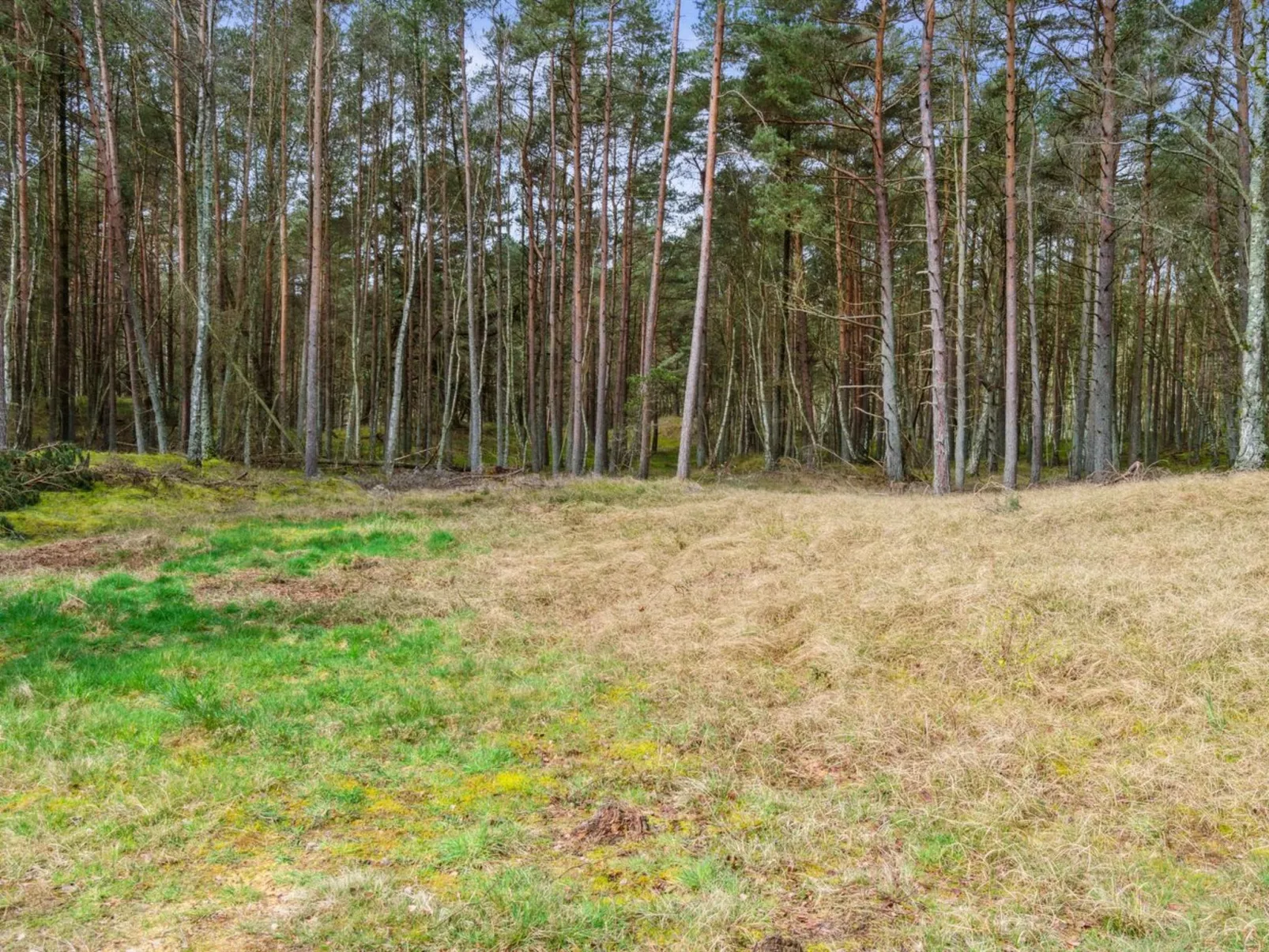 "Awa" - 800m from the sea-Outside