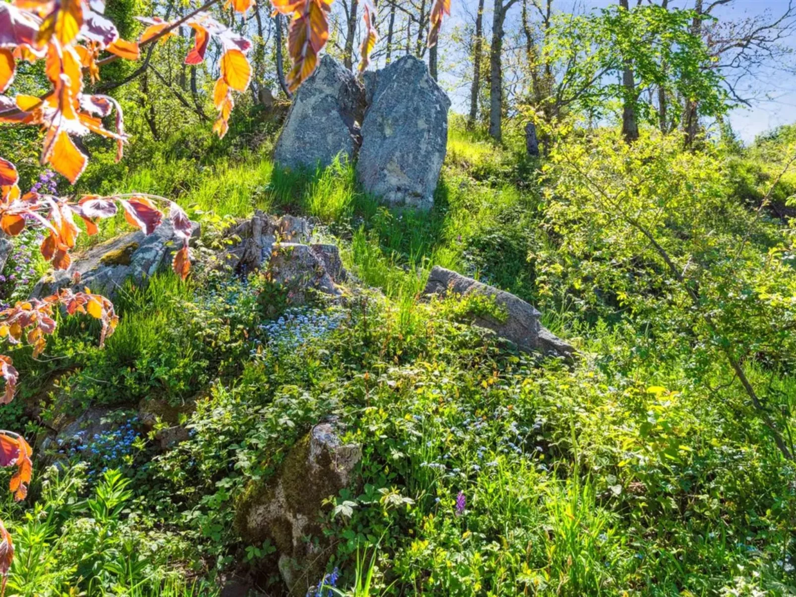 "Henric" - 75m from the sea-Draußen