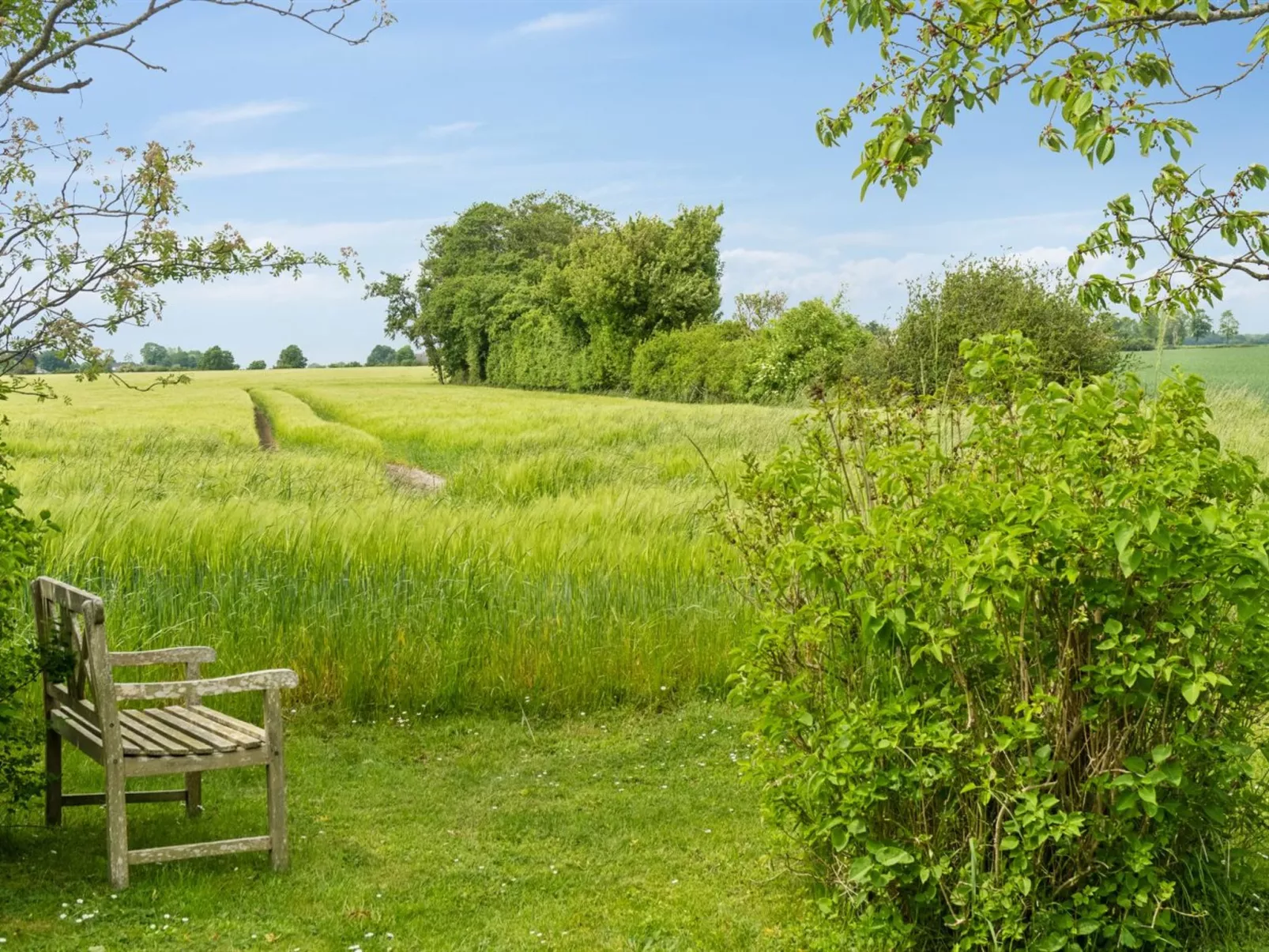 "Ødke" - 350m from the sea-Outside