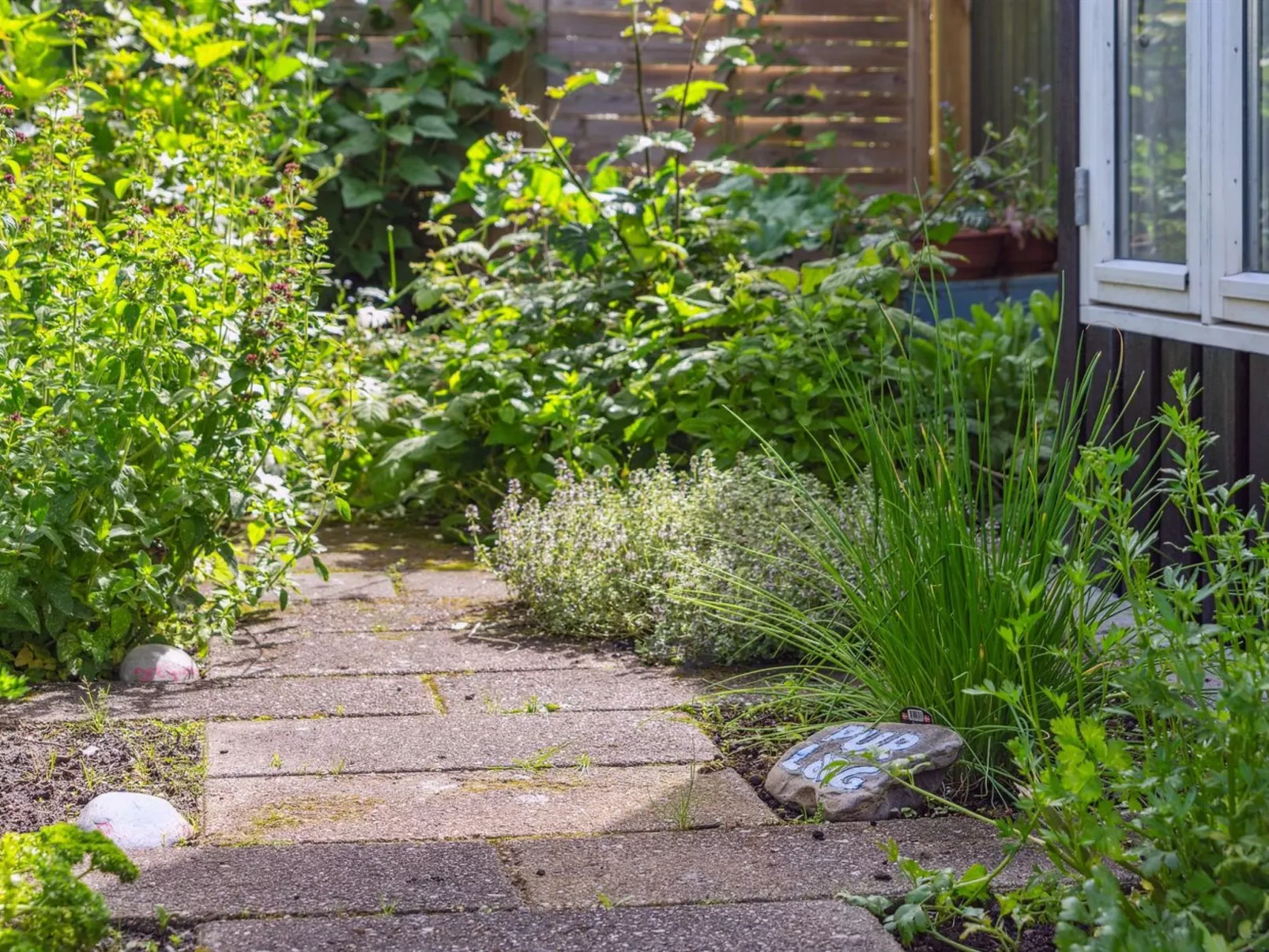 "Antonie" - 700m from the sea-Draußen