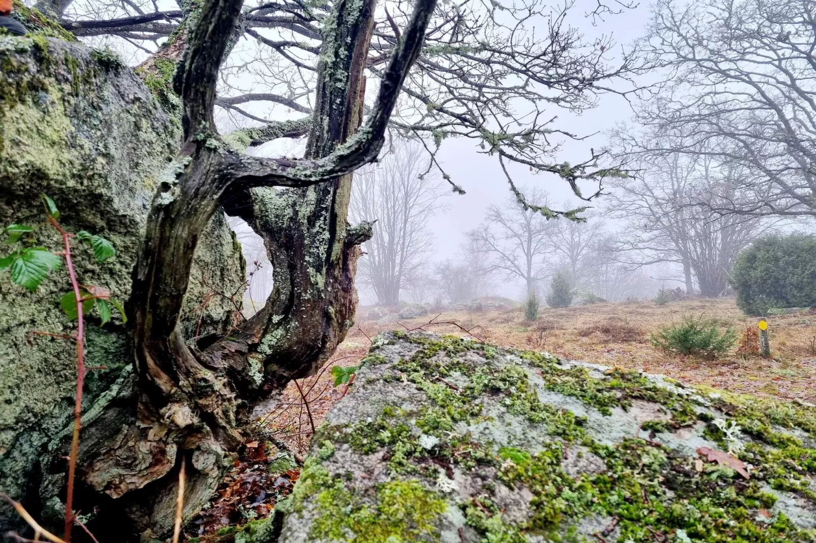 4 star holiday home in KARLSKRONA-Water view