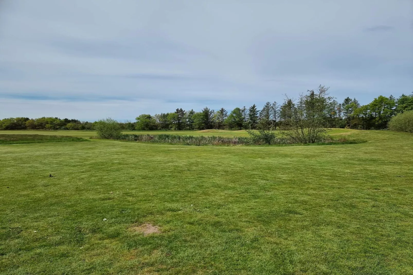 Maison de vacances pour 8 a Pandrup-By Traum-Non tagué