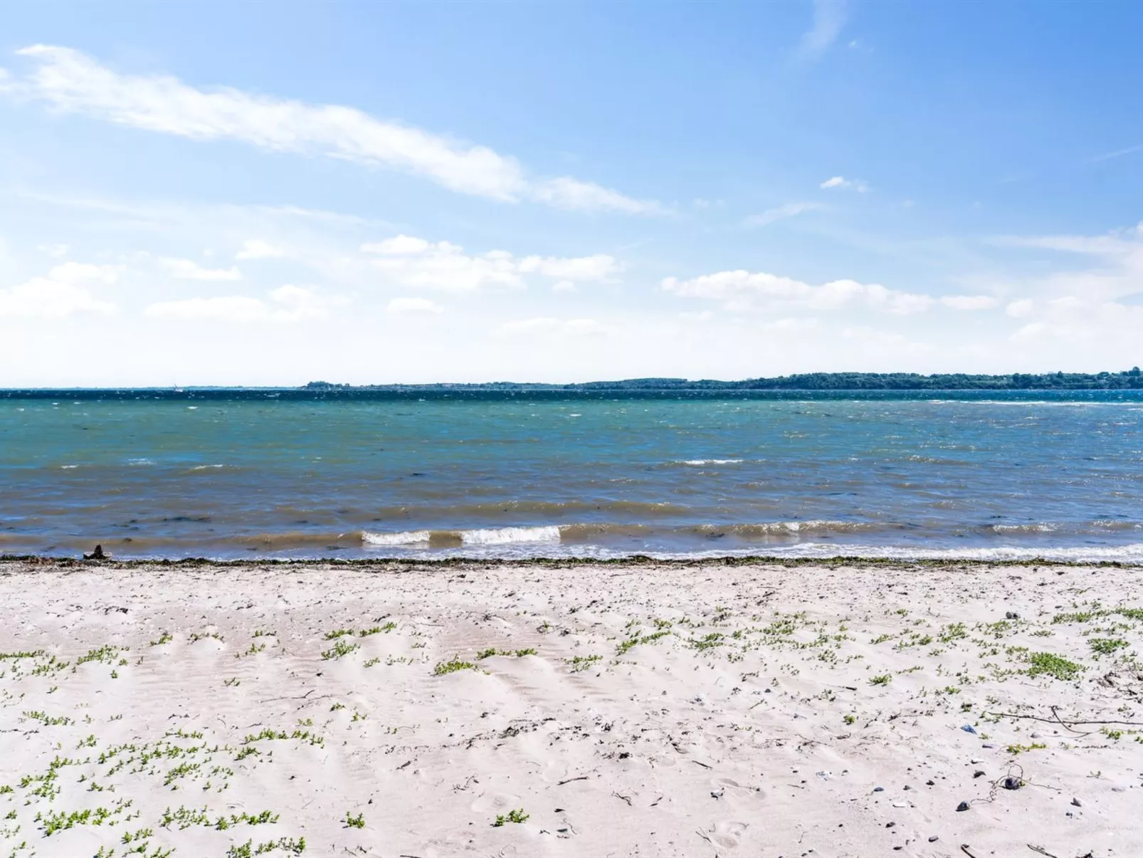 "Fokke" - 450m from the sea-Outside