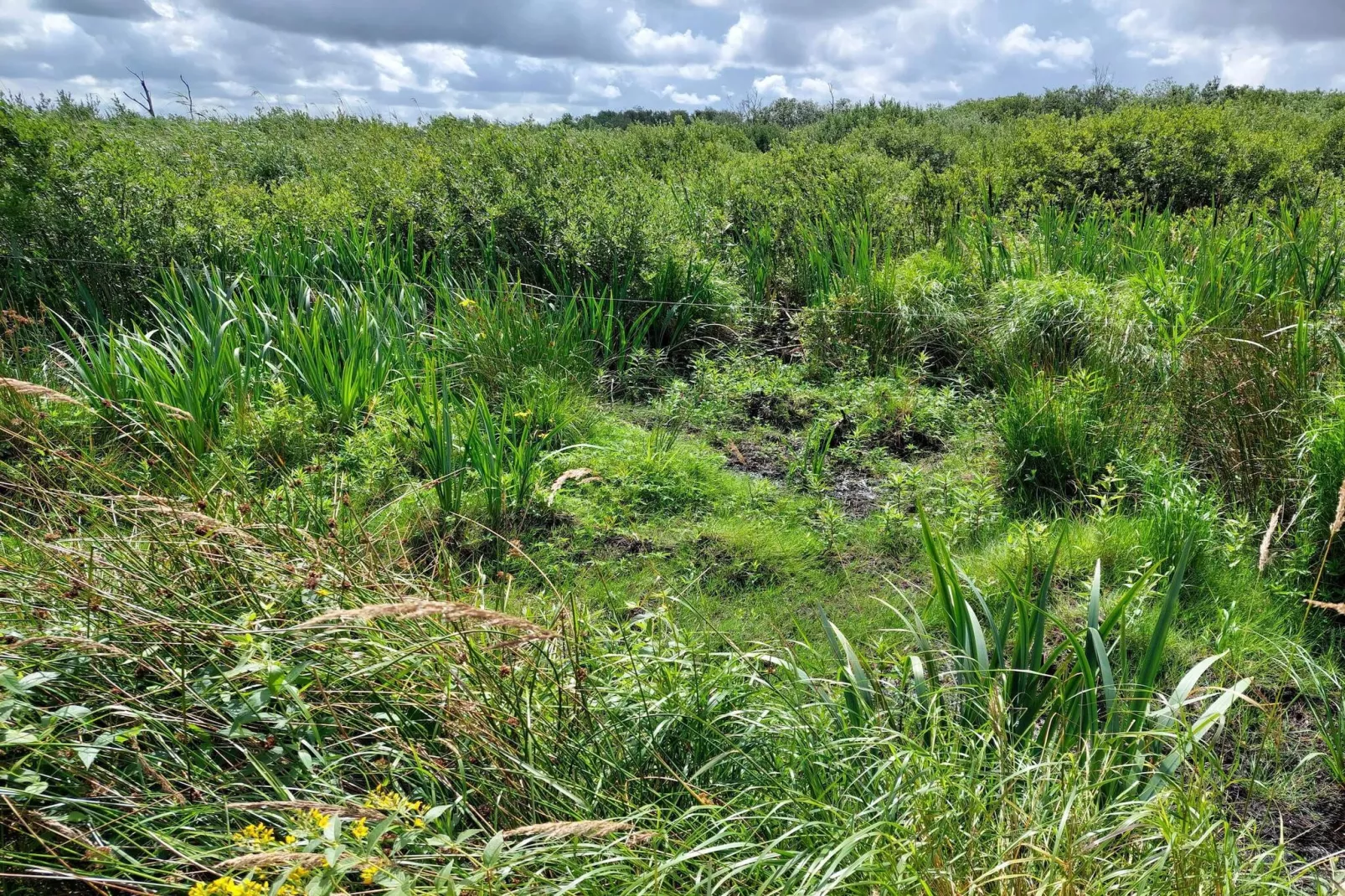 Maison de vacances pour 4 a Bredebro-By Traum-Non tagué