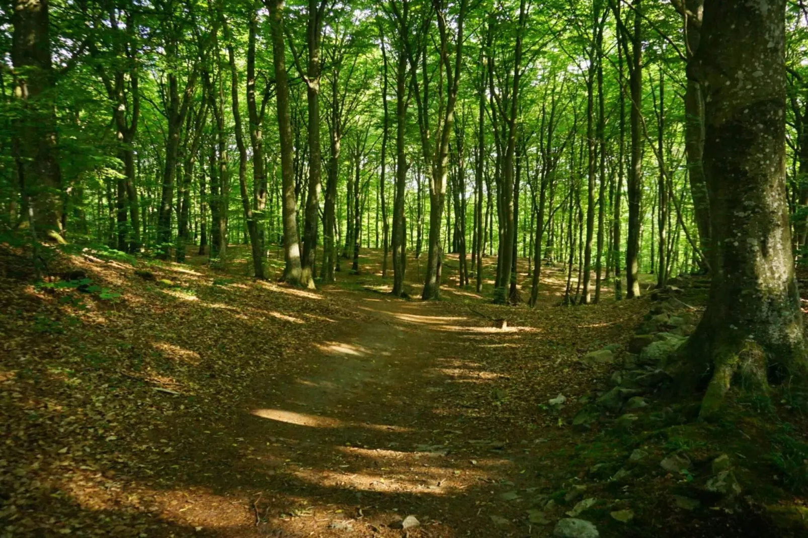 4 etoiles maison de vacances a Gärsnäs-Non tagué