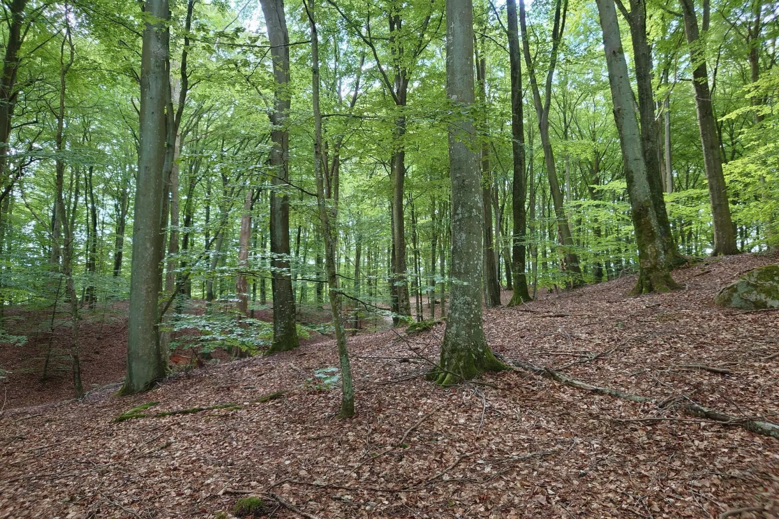 4 star holiday home in Gärsnäs-Untagged