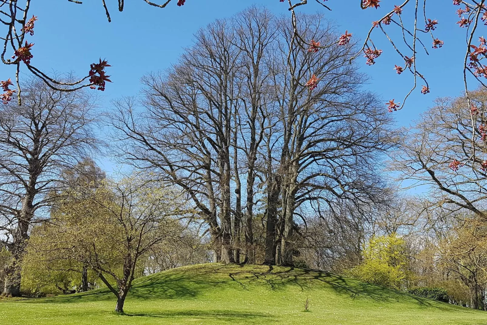 Charming Retreat on Eno - By Traum Ferienwohnungen