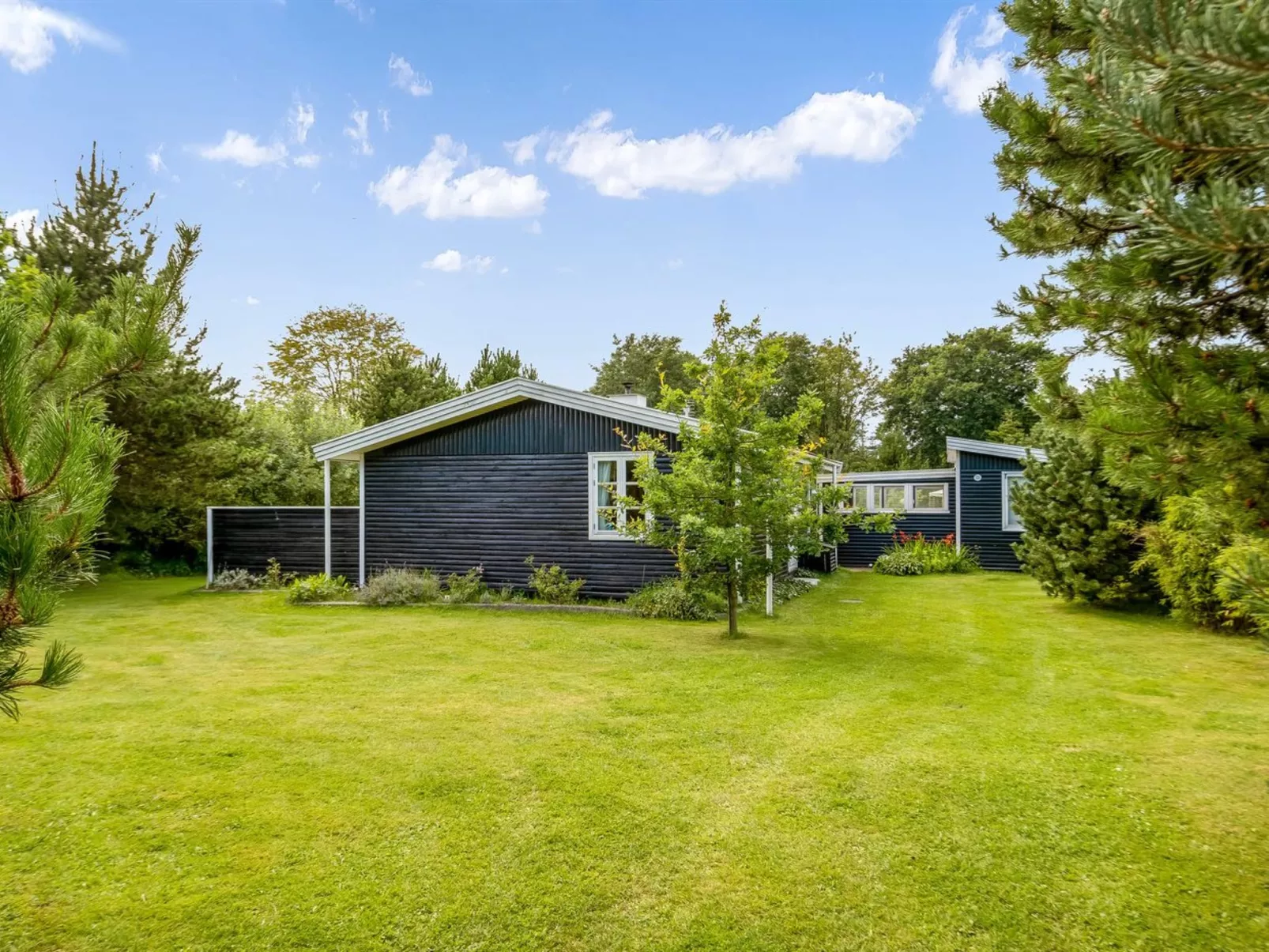 "Roque" -  from the sea-Outside