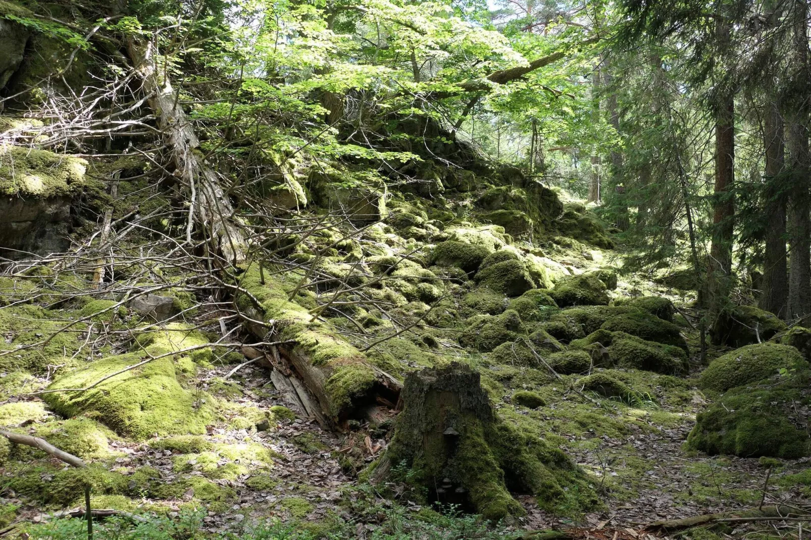 4 etoiles maison de vacances a VÄRMDÖ-Non tagué