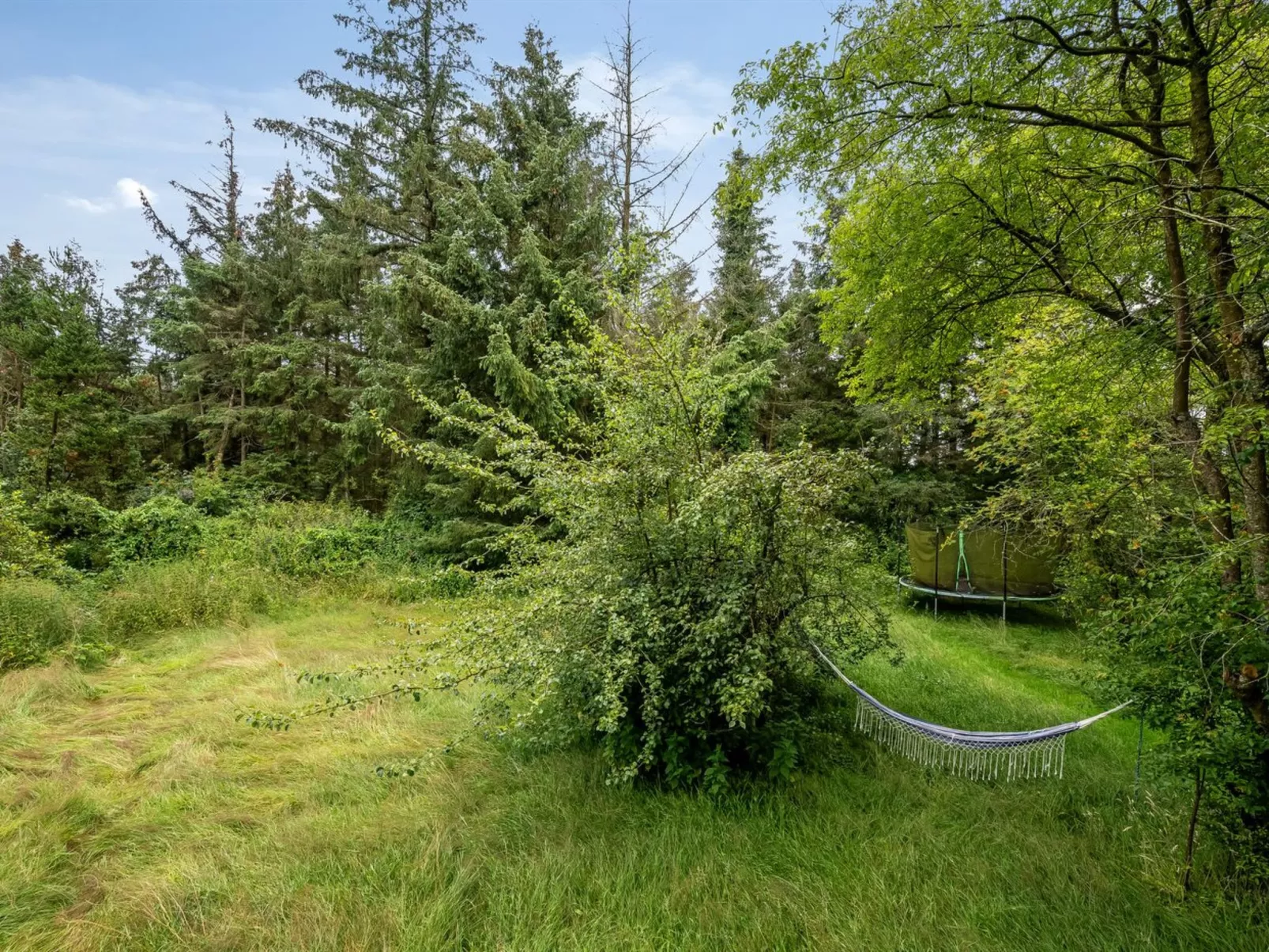 "Wiss" - 4.1km from the sea-Outside