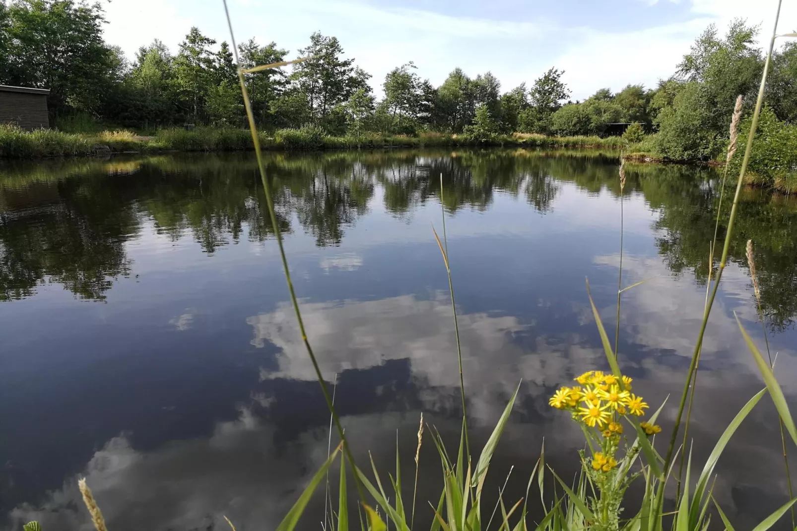 Luxurioses Waldrefugium -- By Traum Ferienwohnungen - Wasserblick